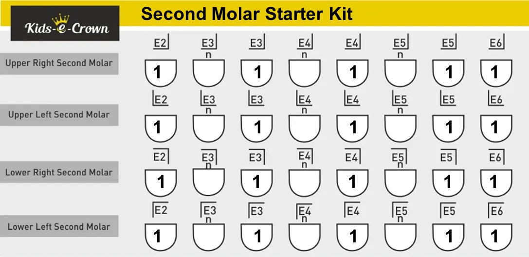 Posterior Crowns Primary Second Molar Master Kit (E)