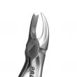 Cow Horn Extraction Forceps DF Adult Upper Molars Left #90 - Precision