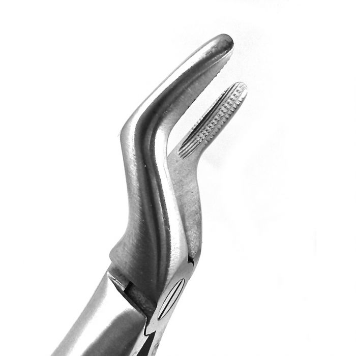 Extraction Forceps DF Pedo Upper Roots 7 #562 - Precision