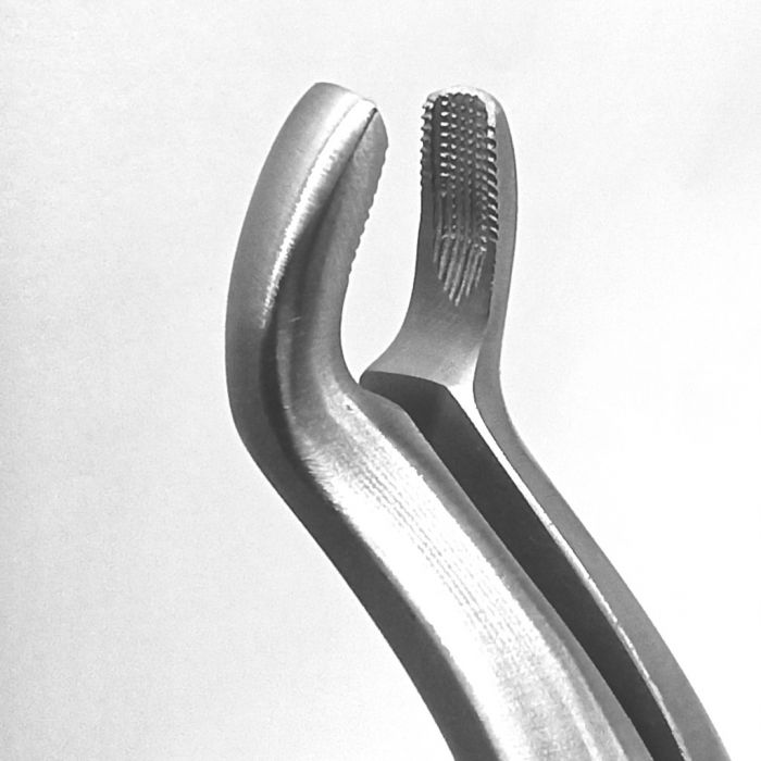 Extraction Forceps DF Adult Upper Third Molars #67A - Precision