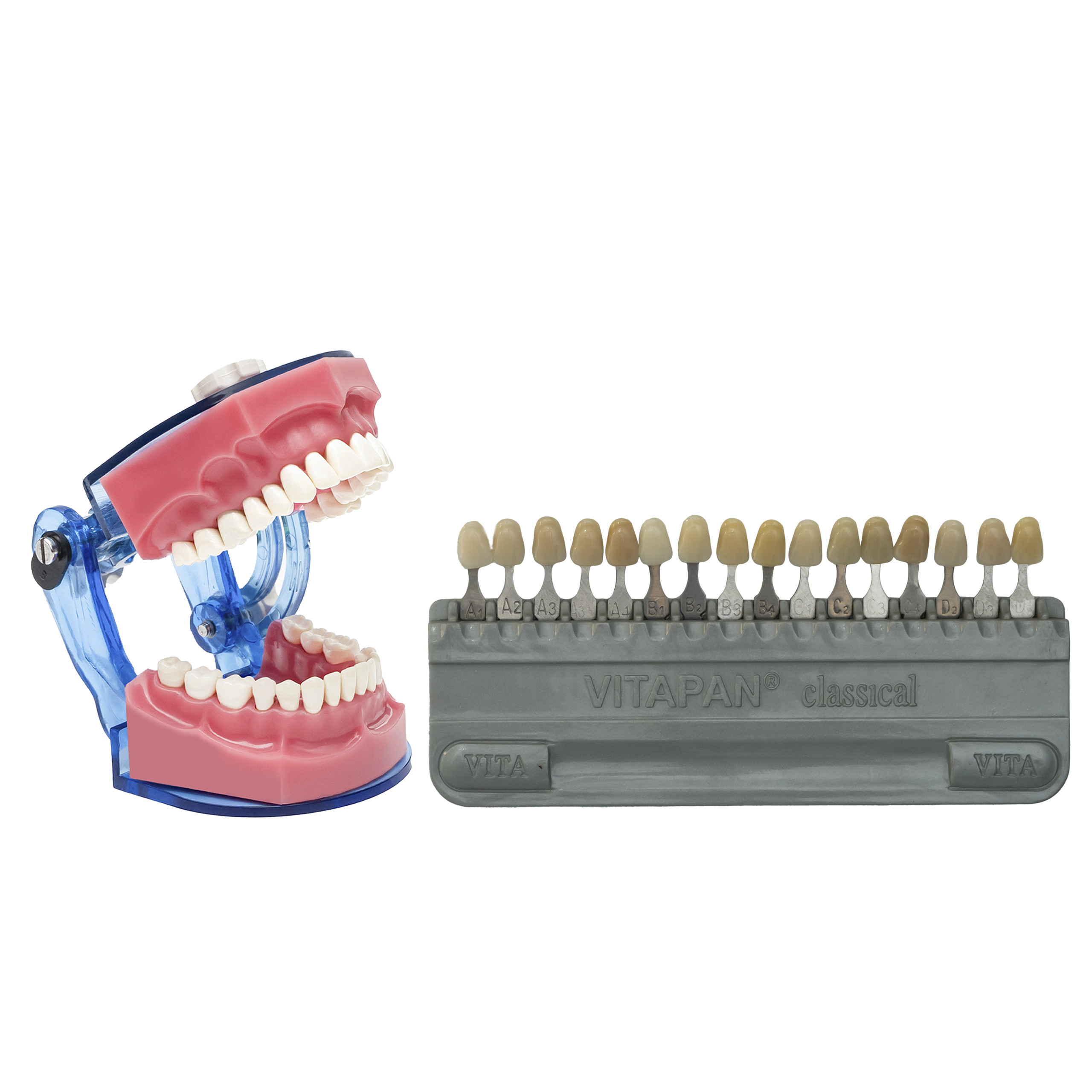 Vita Toothguide 3d-Master With Bleached Shades