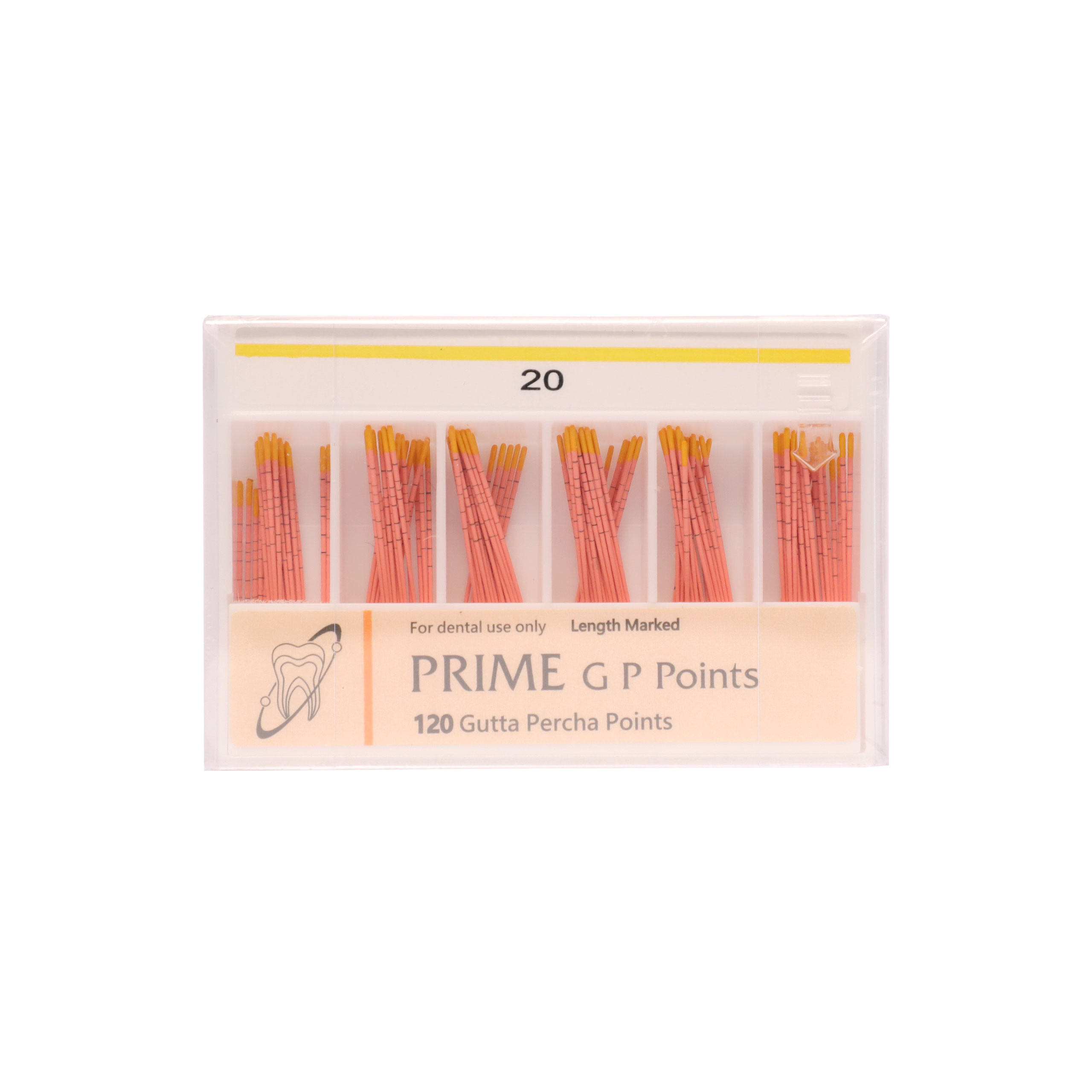 Prime Gutta Percha Points 2%, 20