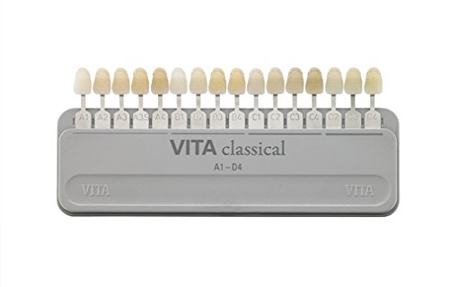 Vita Vita Shade Gauide D