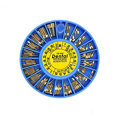 Dental 24K Gold Plated Screw Post 120Pcs&2Key Dental Screw Post Dental Supplies Dental Materials
