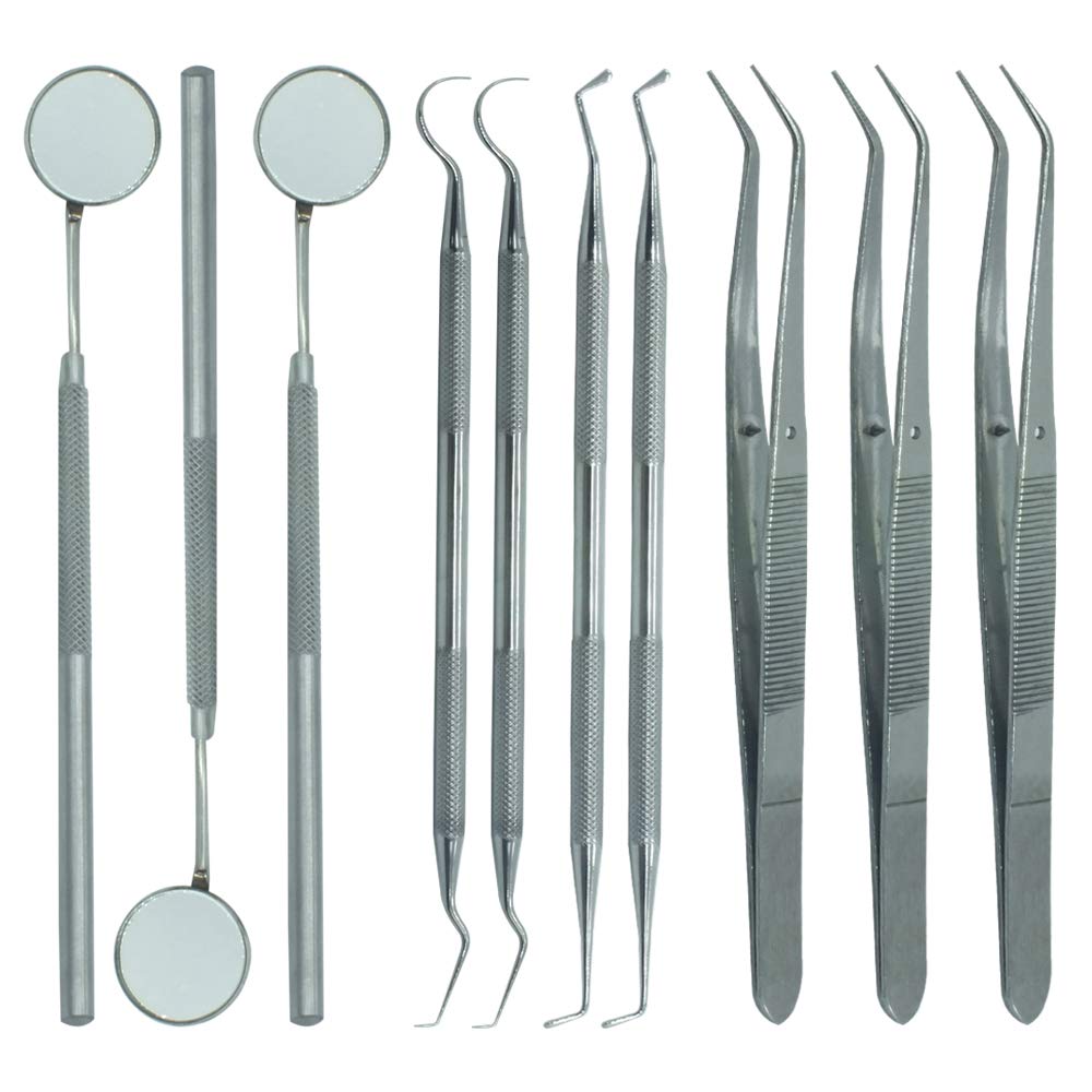 ADDLER MOUTH MIRROR WITH HANDLE, EXPLORER, PLASTIC FILLING & TWEEZER  SET OF 10