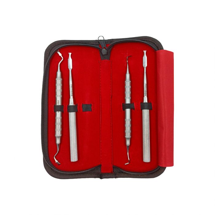 Ochsenbein Chisel Kit 4Pcs - Precision