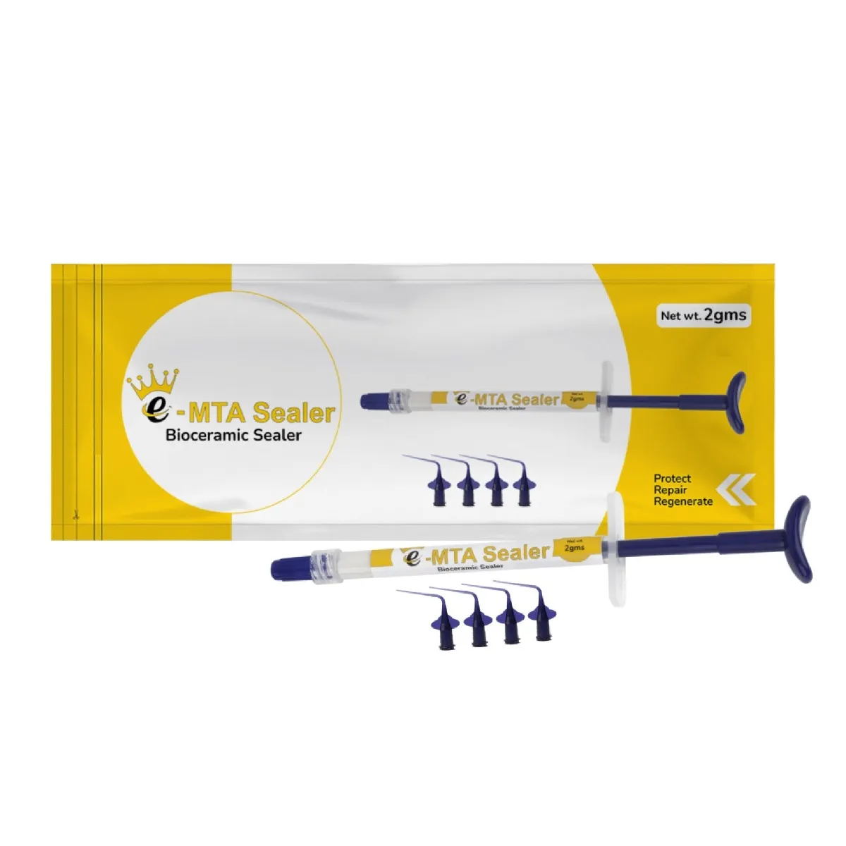 E-MTA Sealer (02 Gms) Bioceramic Sealer