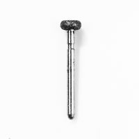 Precident Bur Magic Bur Natural Diamond Bur FG WR 13 Bur  (5Pcs)